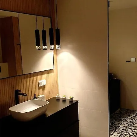 Lividus Czarna Mewa *