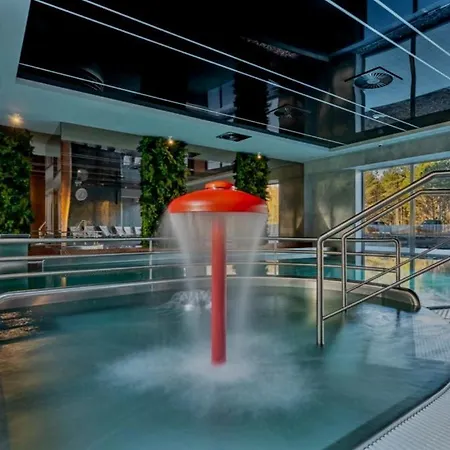 Lividus Czarna Mewa シフィノウイシチェ