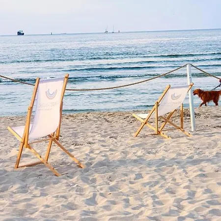 アパート Lividus Czarna Mewa